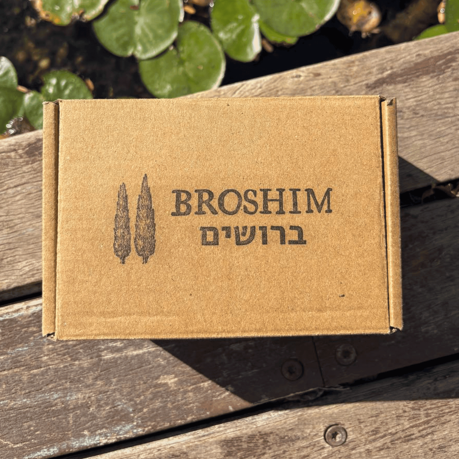 Свечи с уникальными ароматами и деревянным фитилём, созданные в Израиле 17