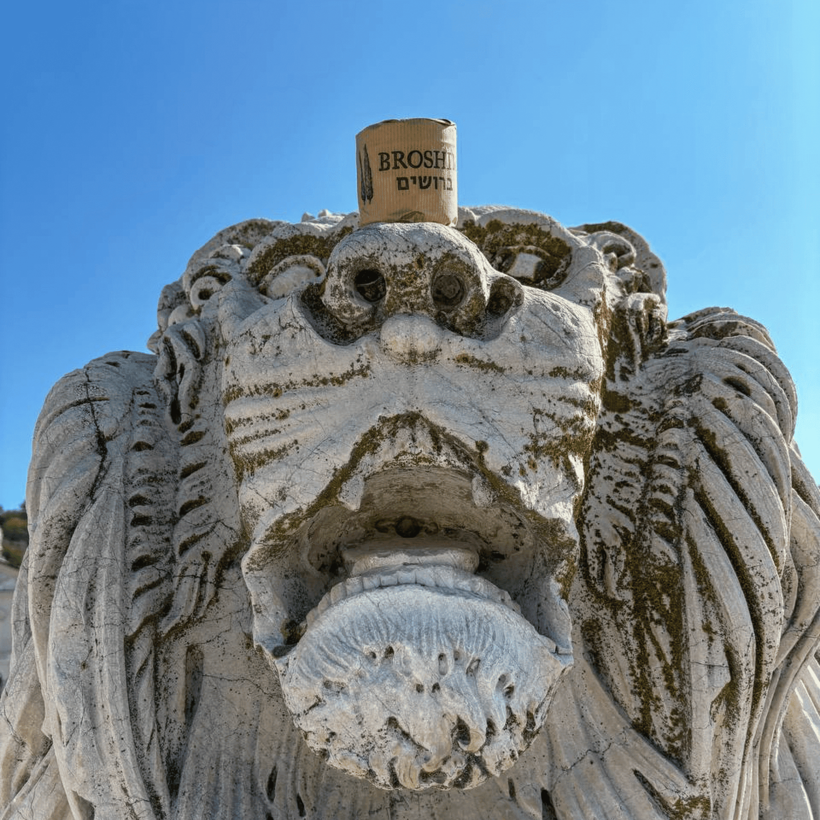 Свечи с уникальными ароматами и деревянным фитилём, созданные в Израиле 21